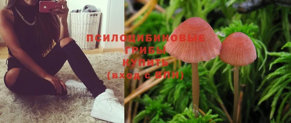 сатива Алексин