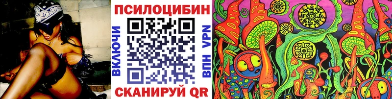 как найти   Михайловск  Галлюциногенные грибы прущие грибы 